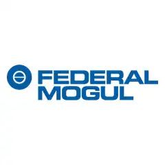 Federal Mogul Asbestos Trust Fund